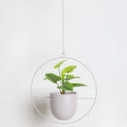 Iron Hanging Plant Pot Holder