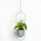 Iron Hanging Plant Pot Holder