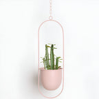 Iron Hanging Plant Pot Holder