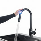 Kitchen Faucet with Touch Sensor