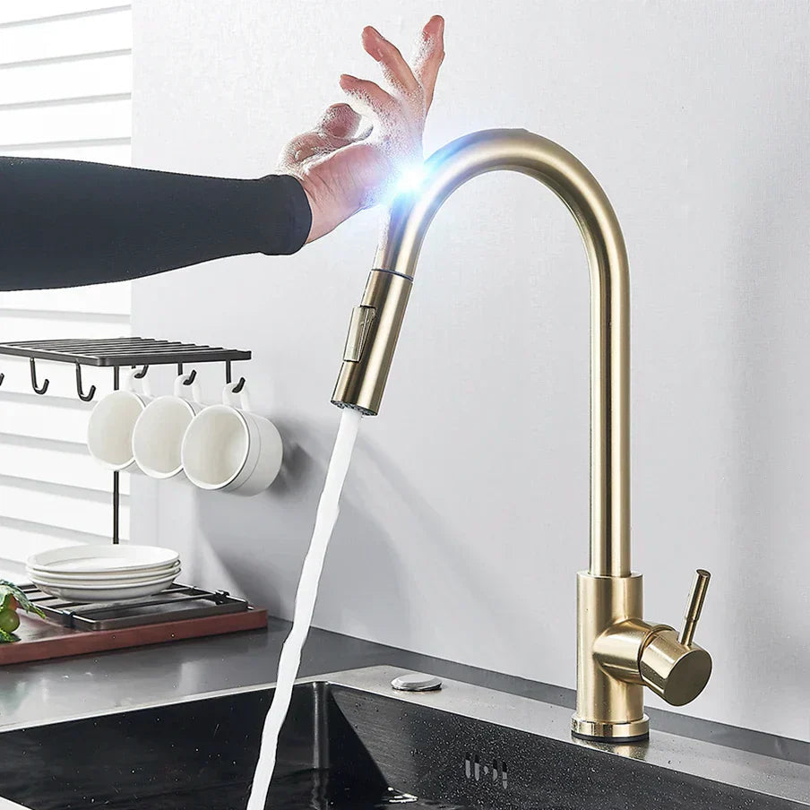 Kitchen Faucet with Touch Sensor