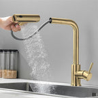 Kitchen Faucet