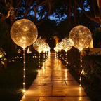 LED Balloons | Transparent & Warm White Light Wire | Set of 10