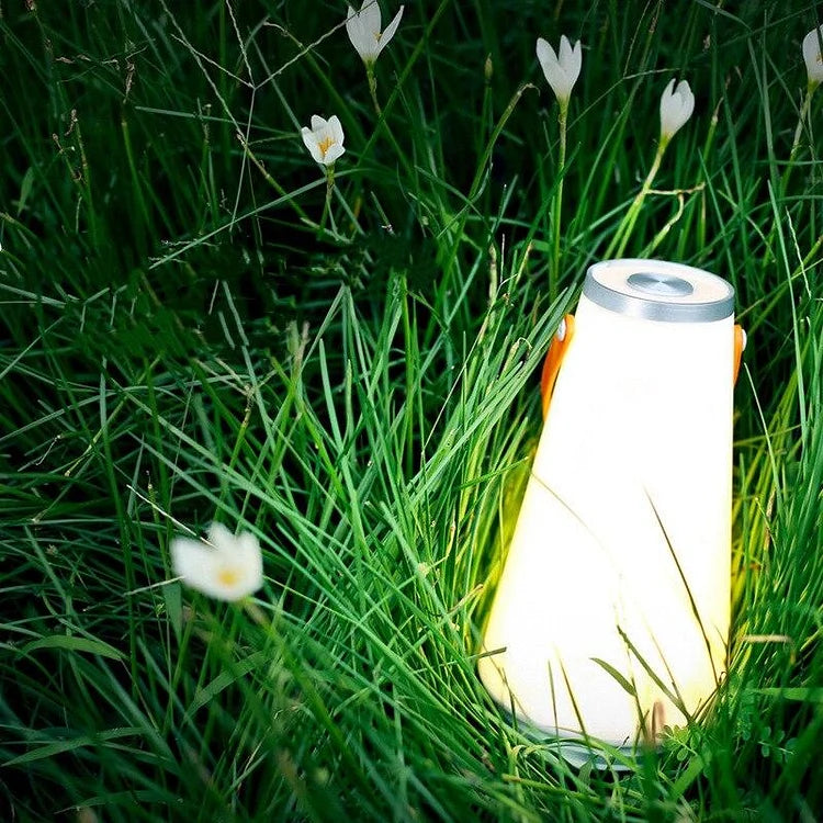 LED Camping Lantern