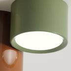 LED Ceiling Light