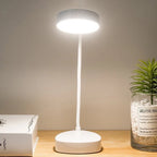 LED Desk Lamp | Adjustable Gooseneck & USB-Rechargeable
