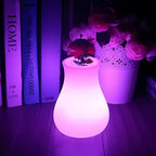 LED Flower Vase | USB Rechargeable IP65 Waterproof & 16-Colour Remote