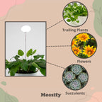 LED Grow Light | Adjustable Full-Spectrum & Dimmable | Automatic Timer