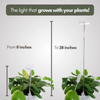 LED Grow Light | Adjustable Full-Spectrum & Dimmable | Automatic Timer