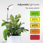 LED Grow Light | Adjustable Full-Spectrum & Dimmable | Automatic Timer
