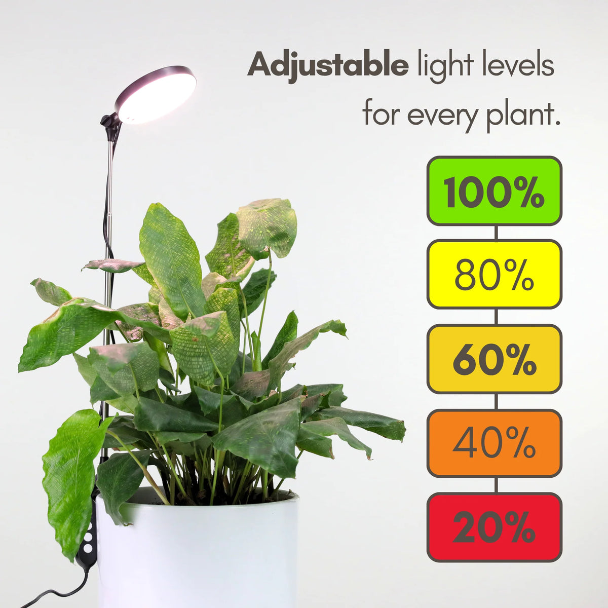 LED Grow Light | Adjustable Full-Spectrum & Dimmable | Automatic Timer