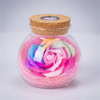 LED Lamp with Rose in Pot – Roseluxe