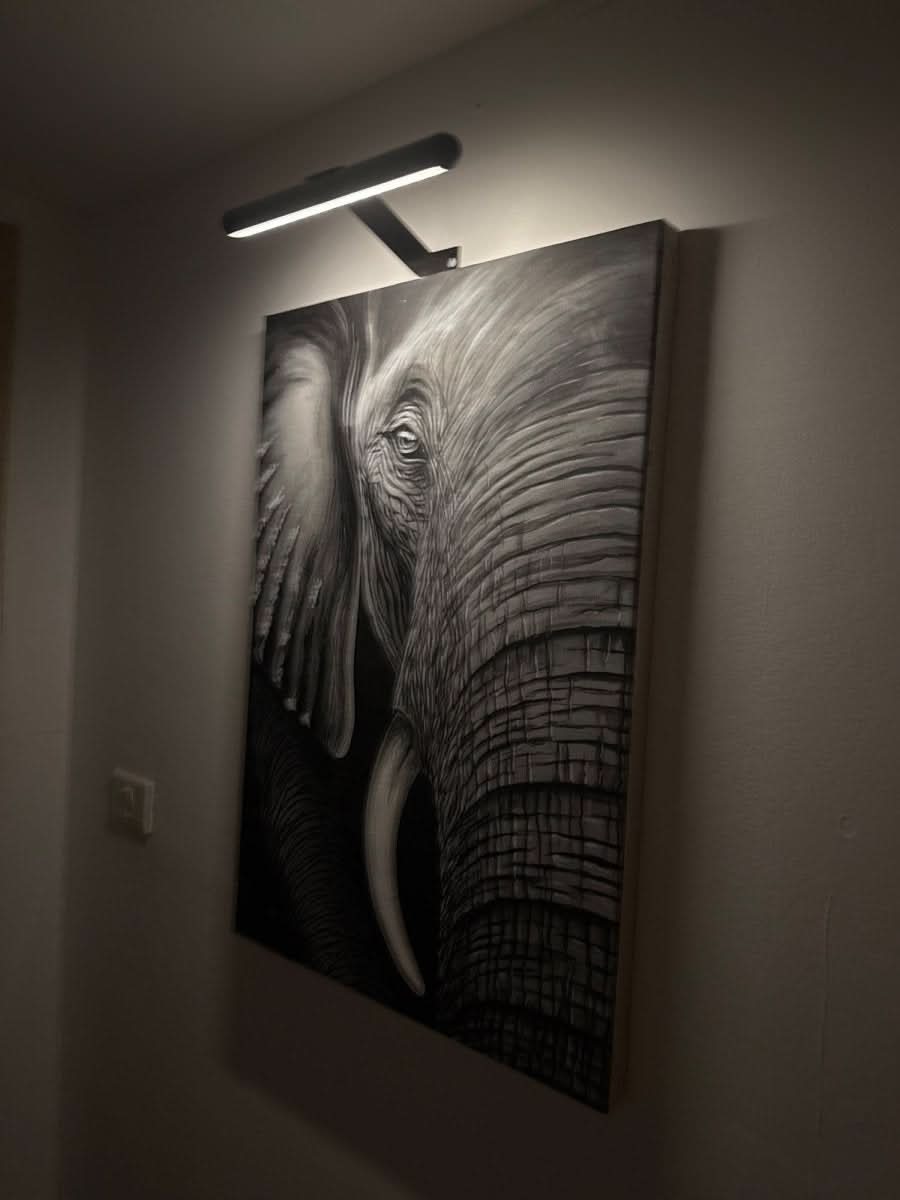 Wireless Wall Light | 360° Rotating & Dimmable | Rechargeable Battery
