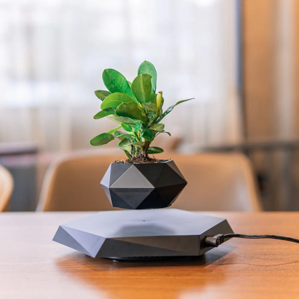 Levitating Plant Pot | Magnetic Levitation & 360° Rotation