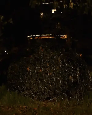 Light Net | Solar-Powered 200-LED & Waterproof