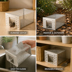 Live Rodent Trap | Stainless Steel & Animal-Friendly | 26 x 13 x 13 cm