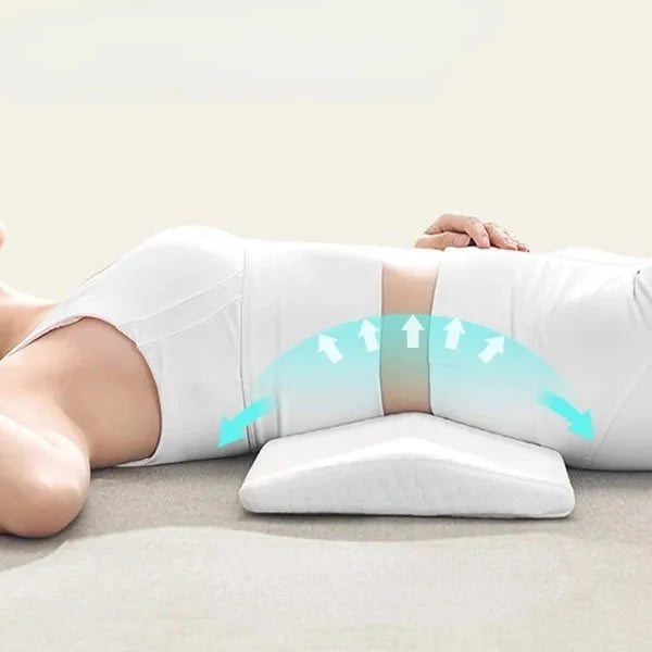 Lumbar Support Pillow | Ergonomic Contour & Breathable Mesh Cover | S & M