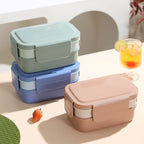 Lunch Box | Multi-Tier Leak-Proof & BPA-Free