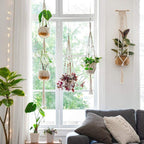 Macrame Plant Hanger | Handmade Cotton Cord & Beads | 4-Pack