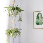 Macrame Plant Hanger | Handmade Cotton Cord & Beads | 4-Pack