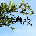 Metal Bird Silhouette | Matte Black Powder-Coated & Weatherproof