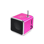 Mini Bluetooth Speaker | Aluminum Shell & FM Radio