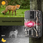 Wildlife Camera | 4K Infrared Night Vision | Waterproof
