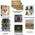 Wildlife Camera | 4K Infrared Night Vision | Waterproof