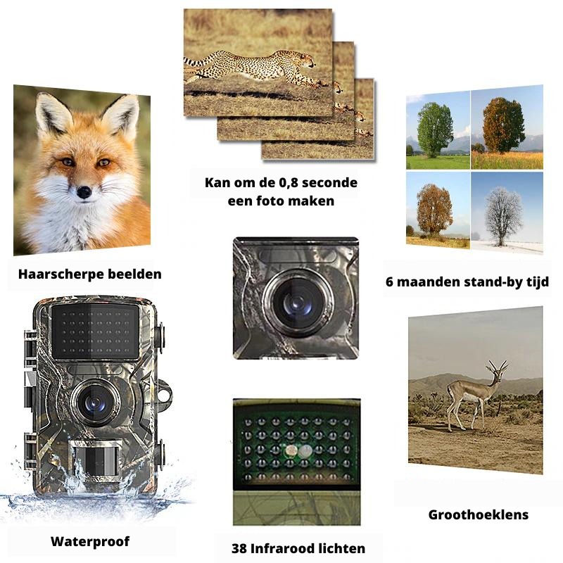 Wildlife Camera | 4K Infrared Night Vision | Waterproof