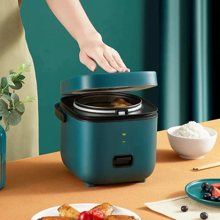 Mini Rice Cooker | Non-Stick & Keep-Warm | Steamer Tray
