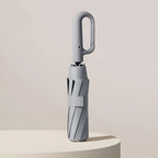 Minimalistic Umbrella