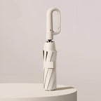 Minimalistic Umbrella