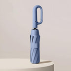 Minimalistic Umbrella