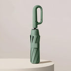 Minimalistic Umbrella