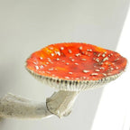 Mushroom Wall Shelf | Floating Resin Design | Supports 3 kg