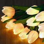 Night Lamp | Realistic Tulip LED & USB Rechargeable | 3 Or 6 Flowers