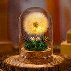 Night Light | Handmade Dried Flowers & Glass Dome | Battery-Powered