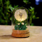 Night Light | Handmade Dried Flowers & Glass Dome | Battery-Powered