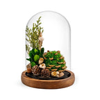 Night Light | Handmade Dried Flowers & Glass Dome | Battery-Powered