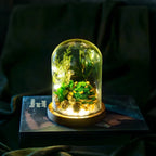 Night Light | Handmade Dried Flowers & Glass Dome | Battery-Powered