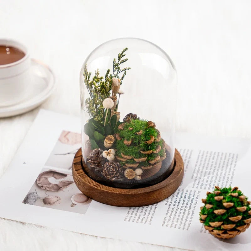 Night Light | Handmade Dried Flowers & Glass Dome | Battery-Powered