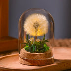 Night Light | Handmade Dried Flowers & Glass Dome | Battery-Powered
