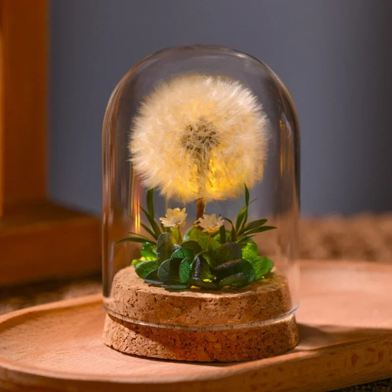 Night Light | Handmade Dried Flowers & Glass Dome | Battery-Powered