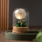 Night Light | Handmade Dried Flowers & Glass Dome | Battery-Powered