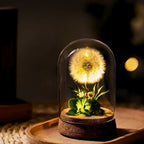 Night Light | Handmade Dried Flowers & Glass Dome | Battery-Powered