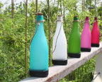 Outdoor Pendant Light | Solar Multicolor LED & Waterproof