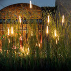 Outdoor Solar Reed Light | Wireless & Weatherproof LED | Set of 6
