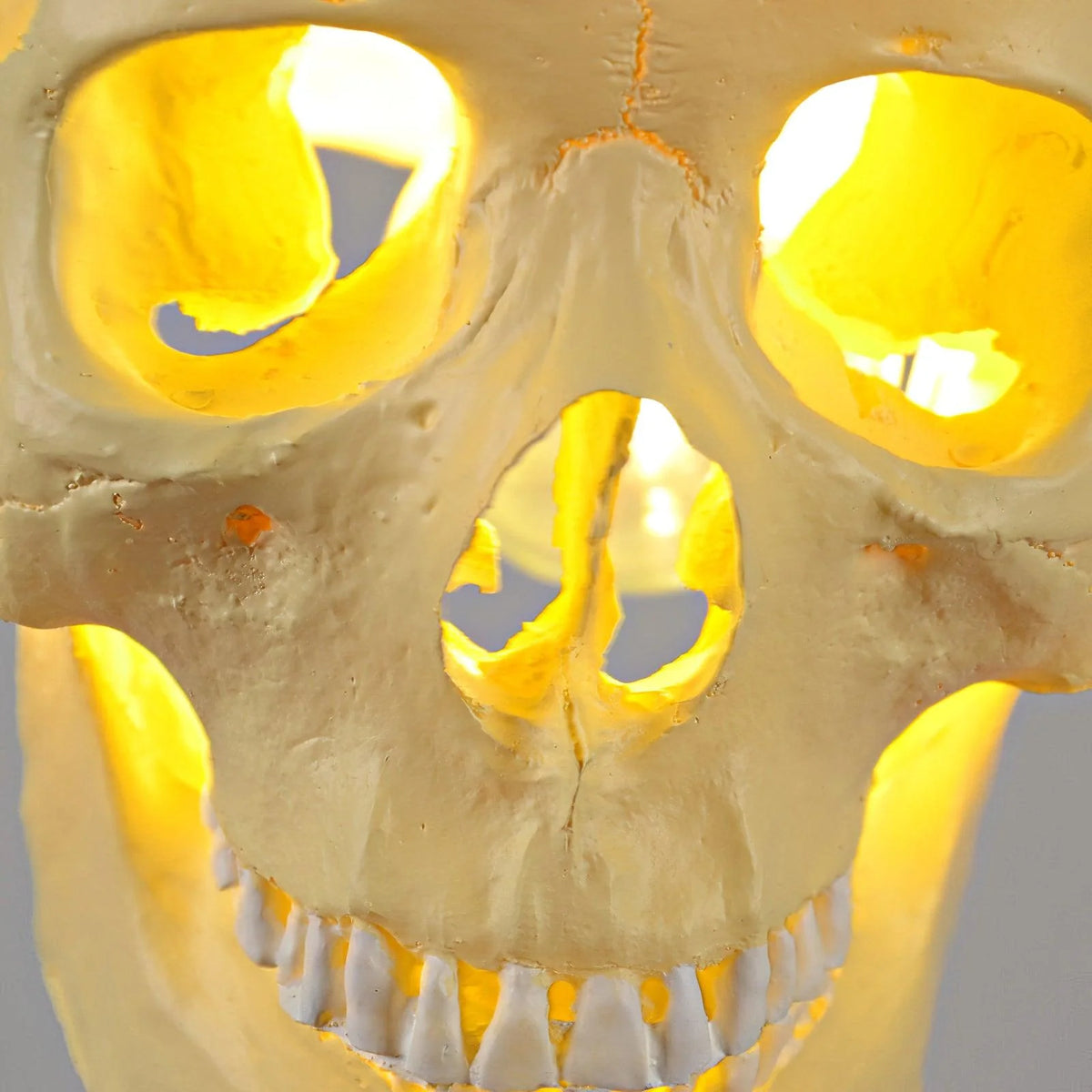 Pendant Light | Skull Design Resin & Metal | 150 cm Adjustable Cable