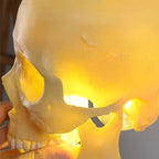 Pendant Light | Skull Design Resin & Metal | 150 cm Adjustable Cable