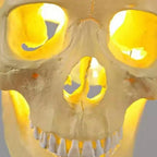 Pendant Light | Skull Resin Shade & Iron Fittings | 180 cm Cord